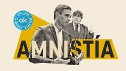 Ley de Amnista