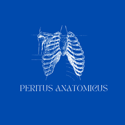 Peritus Anatomicus