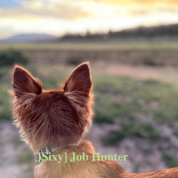 Sixy Job Hunter