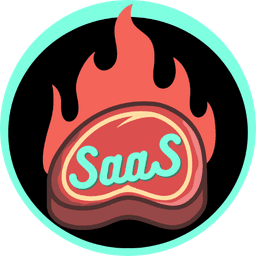 SaaS Landing Page Roaster