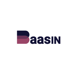 Baasin's AI