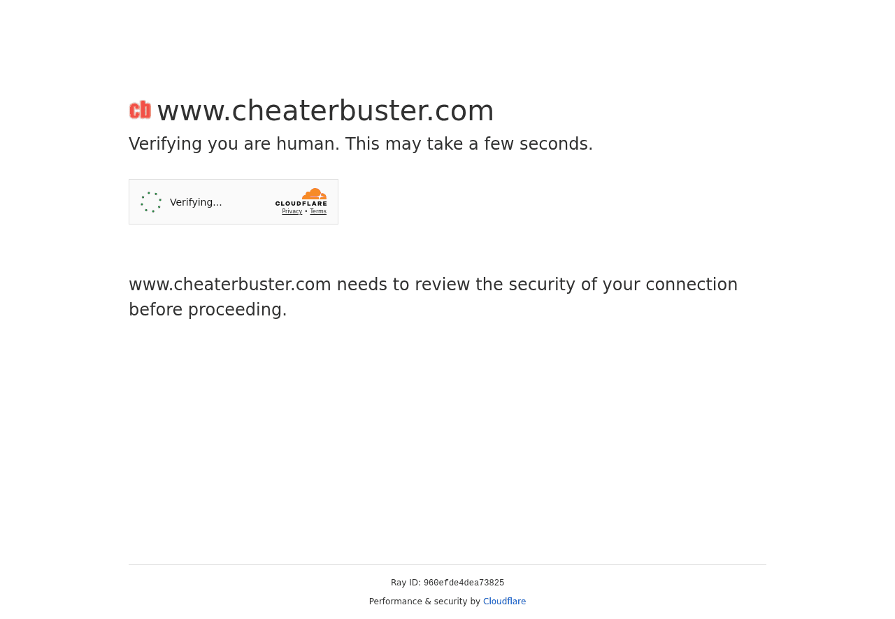 Cheaterbuster