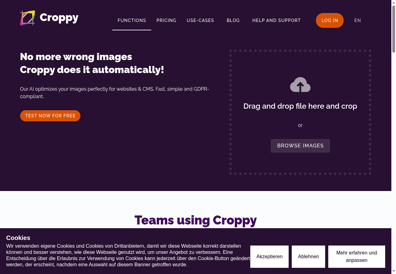 Croppy