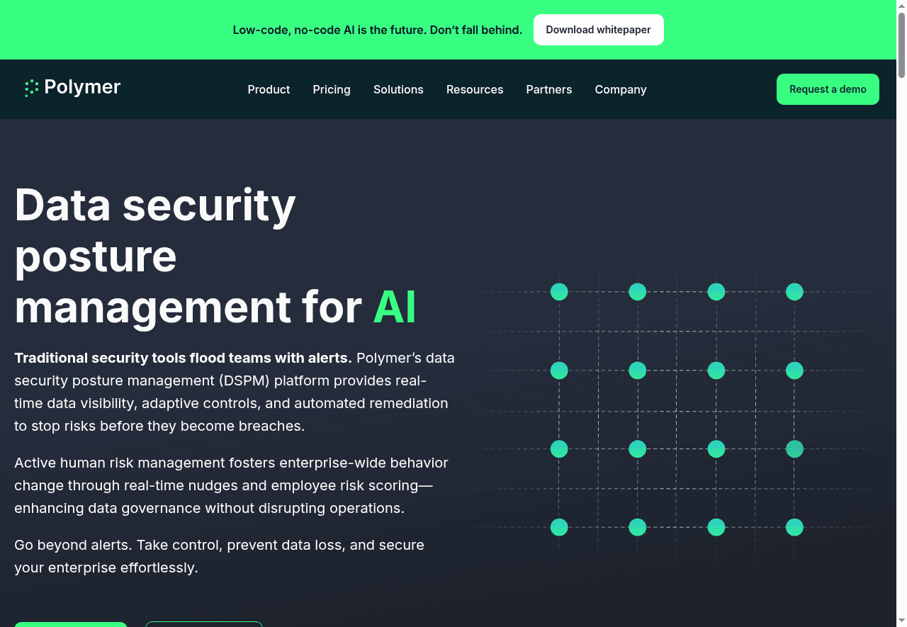 Polymer Runtime Data Security