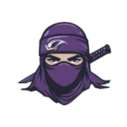 Faceless Ninja AI