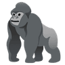 Gorilla Terminal