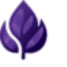 Purple Leaf